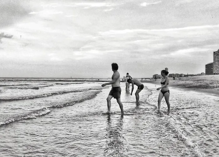 Apartment Royal Palace Seaview Ostend